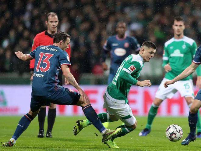 不妨看看其 不妨看看其